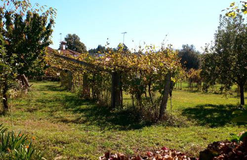 Casa do Tamanqueiro - Foto 7