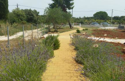 Olive Apartments - Photo 28