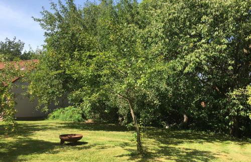 Ferienwohnung bei Müllers - Foto 16