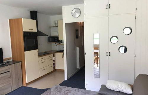 Le Skidoux 2*, au pied des pistes, vue montagne - Foto 13