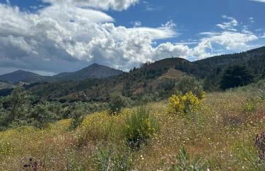 Casa dos Araújos - Foto 65