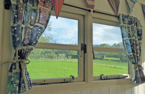 Cwt Cwtshlyd - Photo 7