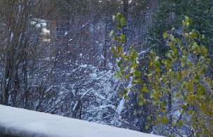 GetAways at the Lodge at Kingsbury Crossing - Foto 35