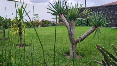 Magnolia Residence - central to explore the island - Photo 2, Garden, Garden view