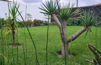 Magnolia Residence - central to explore the island - Photo 2