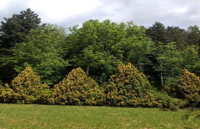 Belvilla by OYO Negritella Quadri Sette - Foto 29