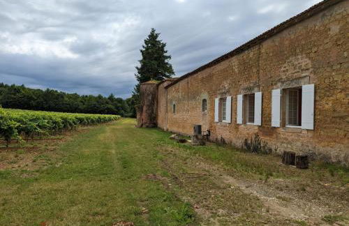 Gîte charmant au cœur d'un château historique avec parc, proche de Cognac, idéal famille et nature - FR-1-653-167 - Foto 30