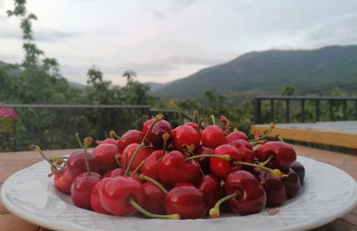 Complejo Rural Las Palomas - Foto 58