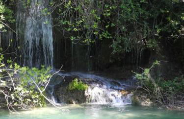 studio bas de villa, jardin et spa (été seulement) - Foto 4