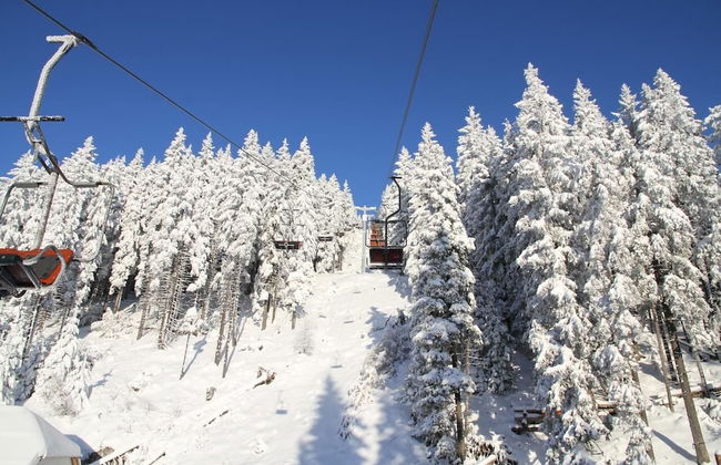 Golte Apartments - Foto 40