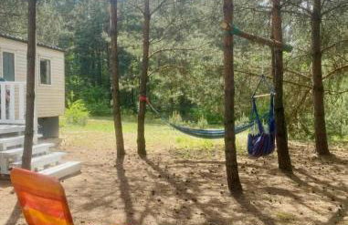 Holenderki na Zielonych Wzgórzach, Łowyń - Foto 49