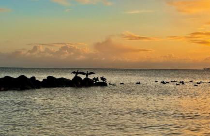 Wolkenkratzersuite - Foto 18