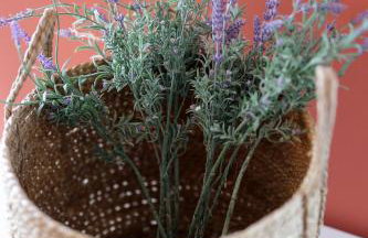 Moro Vrbnik - Foto 34