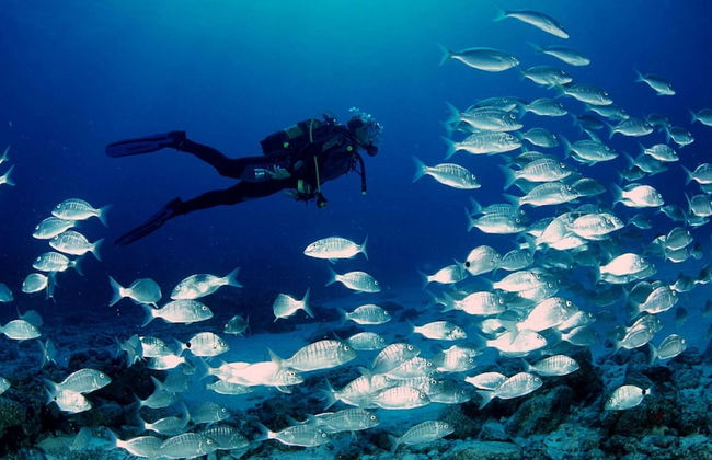 Acogedor Apartamento con Piscina Comunitaria Marina Sant Jordi - Foto 28
