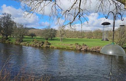 Pod3 - Powys River Pods - Pet Friendly Glamping Pod Builth Wells Powys Wales - Foto 34