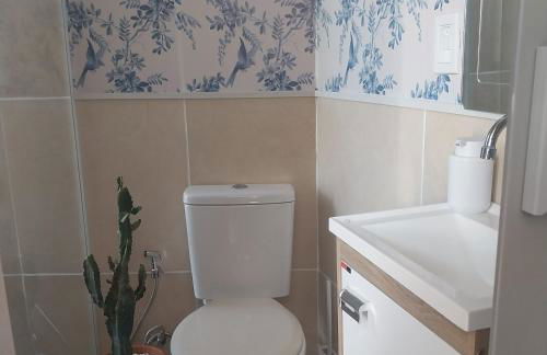 Miniecharmosa - Foto 12