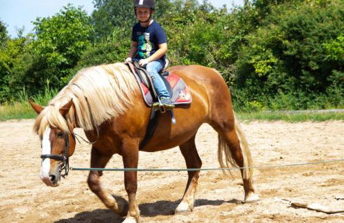 Staberhuk links - XL Ferienwohnung - Sonnendurchflutet - Terrasse - Foto 16