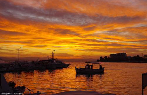 Garden house - Photo 65