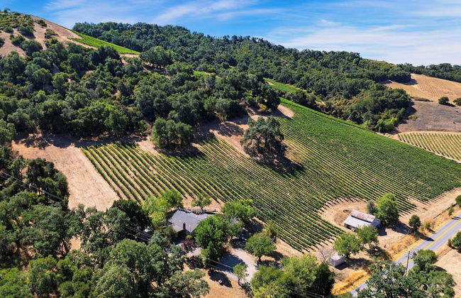 Luxury Wine Country Haven + Vineyard Views Near Top Wineries Adelaida Farmhouse - Foto 51