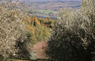 Agriturismo Belagaggio - Foto 68