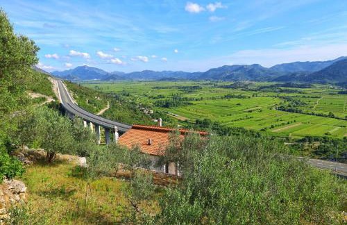 Apartman Maslina - Foto 32