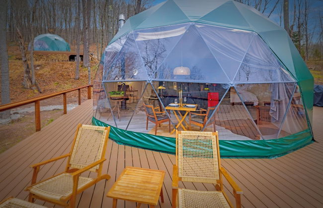 Domes at Catskills - Photo 10