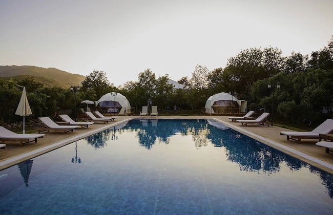 Lumos Homes - Photo 1