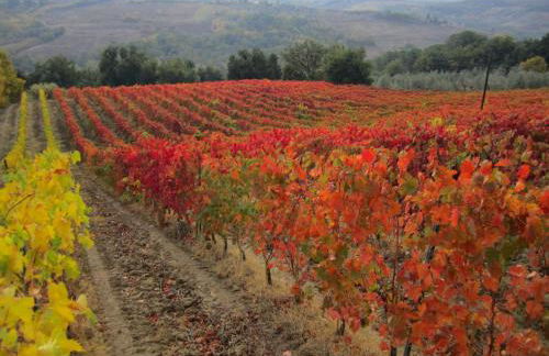 Le Fonti a San Giorgio - Foto 56