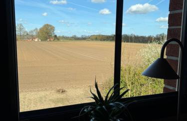 Haus Schönsee - 2 Apartments, ideal für Familien & Freunde - Foto 36