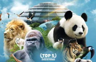 Clef Secrète - Foto 45