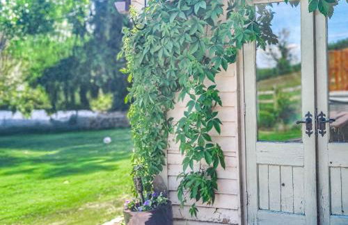 Taliaris Isaf - Foto 34