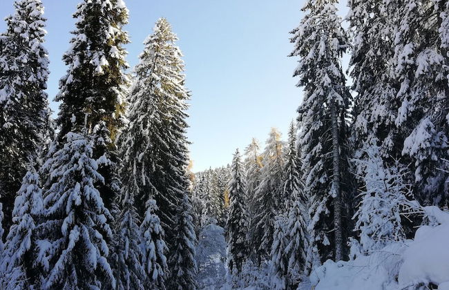 Residence Sole Alto - Foto 71