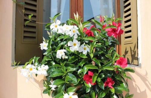 Agriturismo Villa Panigai - Foto 12