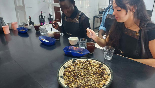 Kigali Coffee Tasting Experience - Foto 4