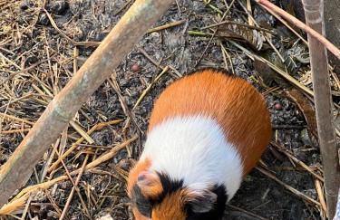 Villa au Gré du Vent - Foto 22