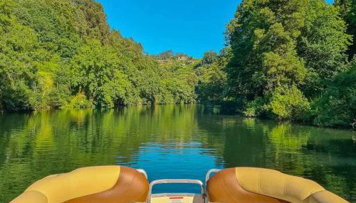 Casa Da Clarinha - Foto 4