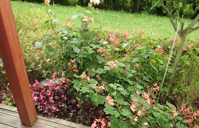 Kauri Lodge Karapiro - Foto 19