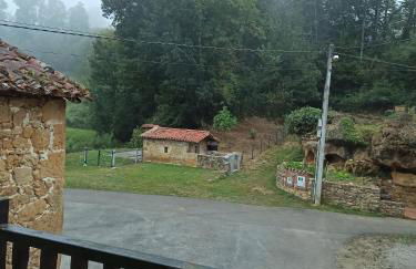 Aromas de Coraín - Foto 32