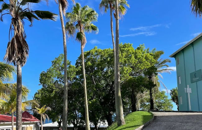 Suites Diamond Paradise - Photo 31