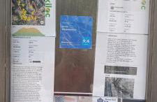 Xenia Alojamientos - Foto 42