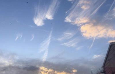 The Old School - Foto 21