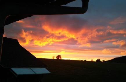 Fewo Fuchs - Foto 31