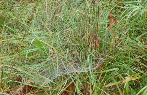 Ferienwohnung Kluge - Foto 34