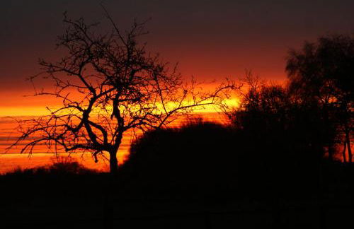 Schöner Winkel - Foto 30