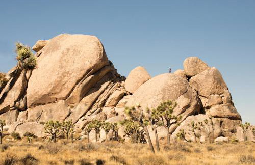 Modern Desert Dream - NEW BUILD - Foto 41