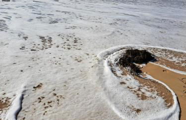 maison de vacances bord de mer - Foto 41