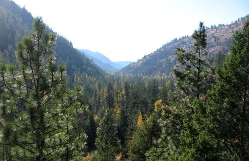 Rustic Cabin in a Charming Location in Stevens County, Washington - Foto 13