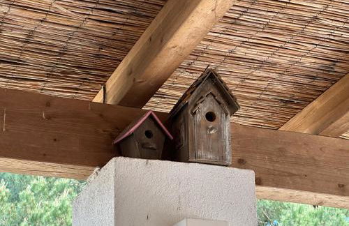 Amélia's House (Casa das Amélias) - Foto 8