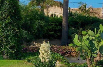 Il mare di Ciccio - Foto 31