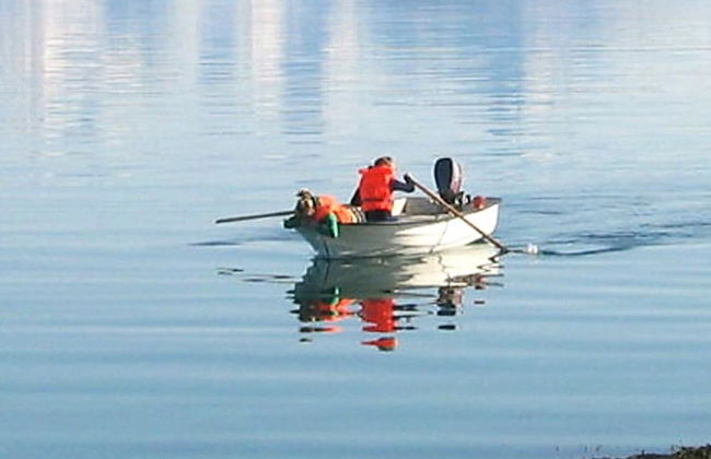 5 Person Holiday Home in Laukvik-by Traum - Foto 21